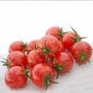 Super Seeds Tomato Cherry Artisan Pink Bumblebee Vegetable Garden 5 Pcs
