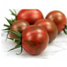 Super Seeds Tomato Cherry Artisan Purple Bumblebee Vegetable Garden 5 Pcs