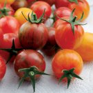 Super Seeds Tomato Cherry Artisan Mixed Bumblebee Vegetable Garden 5 Pcs