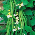 Super Seeds Runner Bean White Lady Vegetable Garden 10+ Pcs
