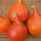 Super Seeds Squash Uchiki Kuri Organic Vegetable Garden 5 Pcs