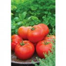 Super Seeds Tomato Big Daddy Vegetable Garden 5 Pcs