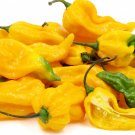 Super Seeds Hot Chilli Pepper Fatalii Extremely Vegetable Garden 10 Pcs