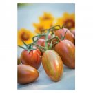 Super Seeds Tomato Shimmer Vegetable Garden 5 Pcs