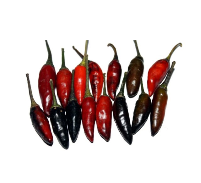 Super Seeds Hot Chilli Pepper Krishna Jolokia new Vegetable Garden 5 Pcs