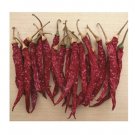 Super Seeds Pepper Hot Mirch Masala Vegetable Garden 5 Pcs