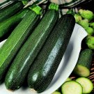 Super Seeds Courgette Defender Vegetable Garden 5 Pcs