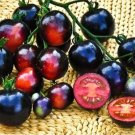 Super Seeds Tomato Indigo Rose Vegetable Garden 5 Pcs