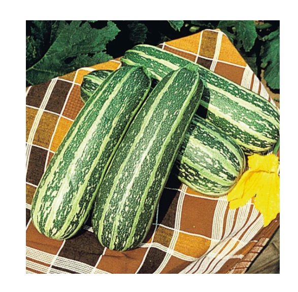 Super Seeds Marrow Tiger Cross Vegetable Garden 5 Pcs