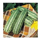 Super Seeds Marrow Tiger Cross Vegetable Garden 5 Pcs