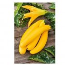Super Seeds Courgette Banana Song Vegetable Garden 5 Pcs