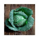 Super Seeds Cabbage Cordesa Vegetable Garden 6 Pcs
