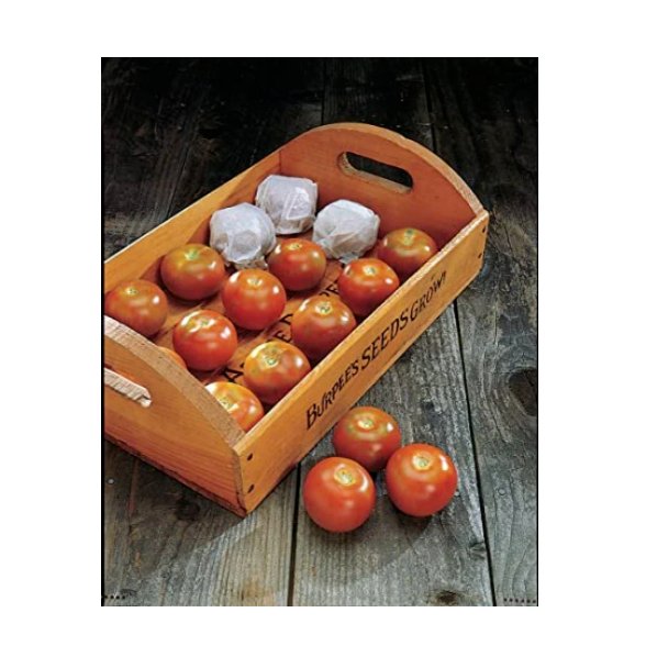 Super Seeds Tomato Burpees Long Keeper Vegetable 5 Pcs