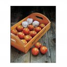 Super Seeds Tomato Burpees Long Keeper Vegetable 5 Pcs
