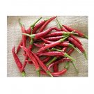 Super Seeds Pepper Hot Damian Vegetable Garden 5 Pcs