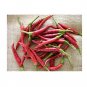 Super Seeds Pepper Hot Damian Vegetable Garden 5 Pcs