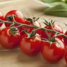 Super Seeds Tomato Cherry Baby Vegetable Garden 5 Pcs