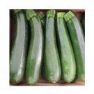 Super Seeds Courgette Ambassador Vegetable Garden 10 Pcs
