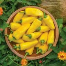 Super Seeds Sweet Pepper Lemon Dream Vegetable Garden 5 Pcs