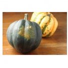 Super Seeds Squash Table King Vegetable Garden 5 Pcs