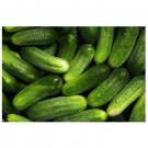 Super Seeds Cucumber Gherkin Anulka Vegetable Garden 30 Pcs
