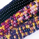 Super Seeds Heirloom Flint Corn Fiesta Vegetable Garden 20 Pcs
