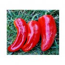 Super Seeds Organic sweet pepper marconi red Vegetable Garden 10+ Pcs