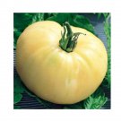 Super Seeds Tomato White Beauty Vegetable Garden 10+ Pcs