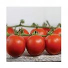 Super Seeds Tomato Chadwick Cherry Vegetable Garden 20 Pcs
