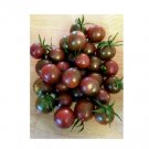 Super Seeds Organic tomato chocolate cherry Vegetable Garden 20 Pcs