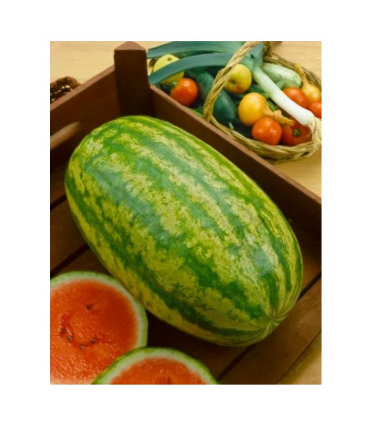 Super Seeds Water Melon Striped Klondike Blue Ribbon Vegetable Garden 10+ Pcs