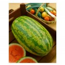 Super Seeds Water Melon Striped Klondike Blue Ribbon Vegetable Garden 10+ Pcs