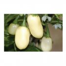Super Seeds Hot Chilli Pepper Habanero White Organic Vegetable Garden 6 Pcs
