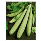 Super Seeds Cucumber Armenian Yard Long Vegetable Garden 10+ Pcs