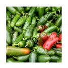 Super Seeds Hot Chilli Pepper Jalapeno M Vegetable Garden 10+ Pcs