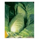 Super Seeds Cabbage Durham Early Spring GreensVegetable Garden 700 Pcs