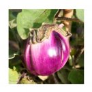 Super Seeds Italian Aubergine Violetta Di Firenze Vegetable Garden 100 Pcs
