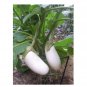 Super Seeds Italian Aubergine White Casper Vegetable Garden 30 Pcs