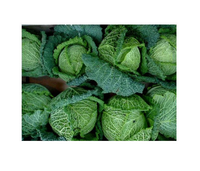 Super Seeds Cabbage Savoy Perfection Vegetable Garden 200 Pcs