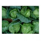 Super Seeds Cabbage Savoy Perfection Vegetable Garden 200 Pcs