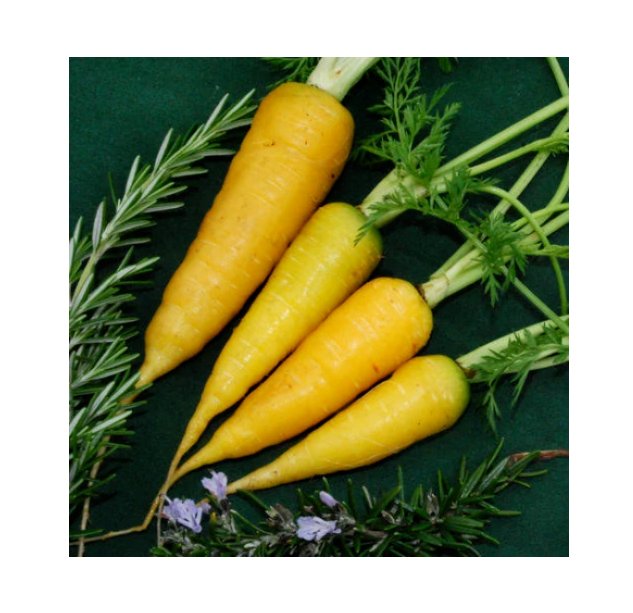 Super Seeds Carrot Solar Yellow Vegetable Garden 600 Pcs