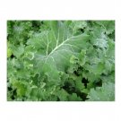 Super Seeds Kale Borecole Siberian Vegetable Garden 200 Pcs