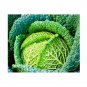 Super Seeds Cabbage Savoy Winter King Vegetable Garden 300+ Pcs