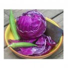 Super Seeds Cabbage Red Acre Organic Vegetable Garden 100+ Pcs