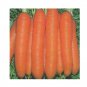 Super Seeds Carrot Touchon Vegetable Garden 800 Pcs