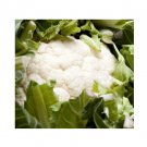 Super Seeds Cauliflower Igloo Early Variety Vegetable Garden 200+ Pcs