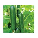 Super Seeds Cucumber Beth Alpha Vegetable Garden 30 Pcs