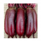 Super Seeds Beetroot Cylindra Vegetable Garden 200+ Pcs