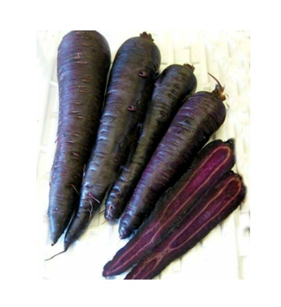 Super Seeds Carrot Purple Sun Vegetable Garden 80 Pcs