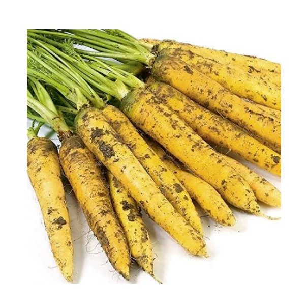 Super Seeds Carrot Yellowstone Vegetable Garden 200 Pcs